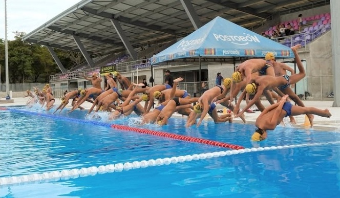 Actividad 1 - Club Focas Ibagué