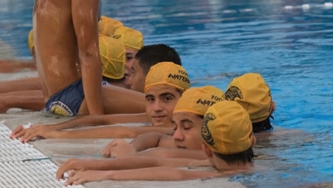 Actividad 3 - Club Focas Ibagué