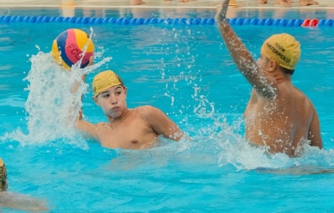 Actividad 5 - Club Focas Ibagué
